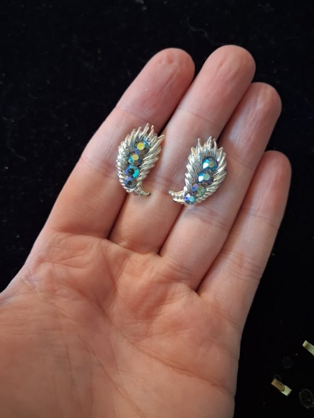 Vintage Screwback earrings
